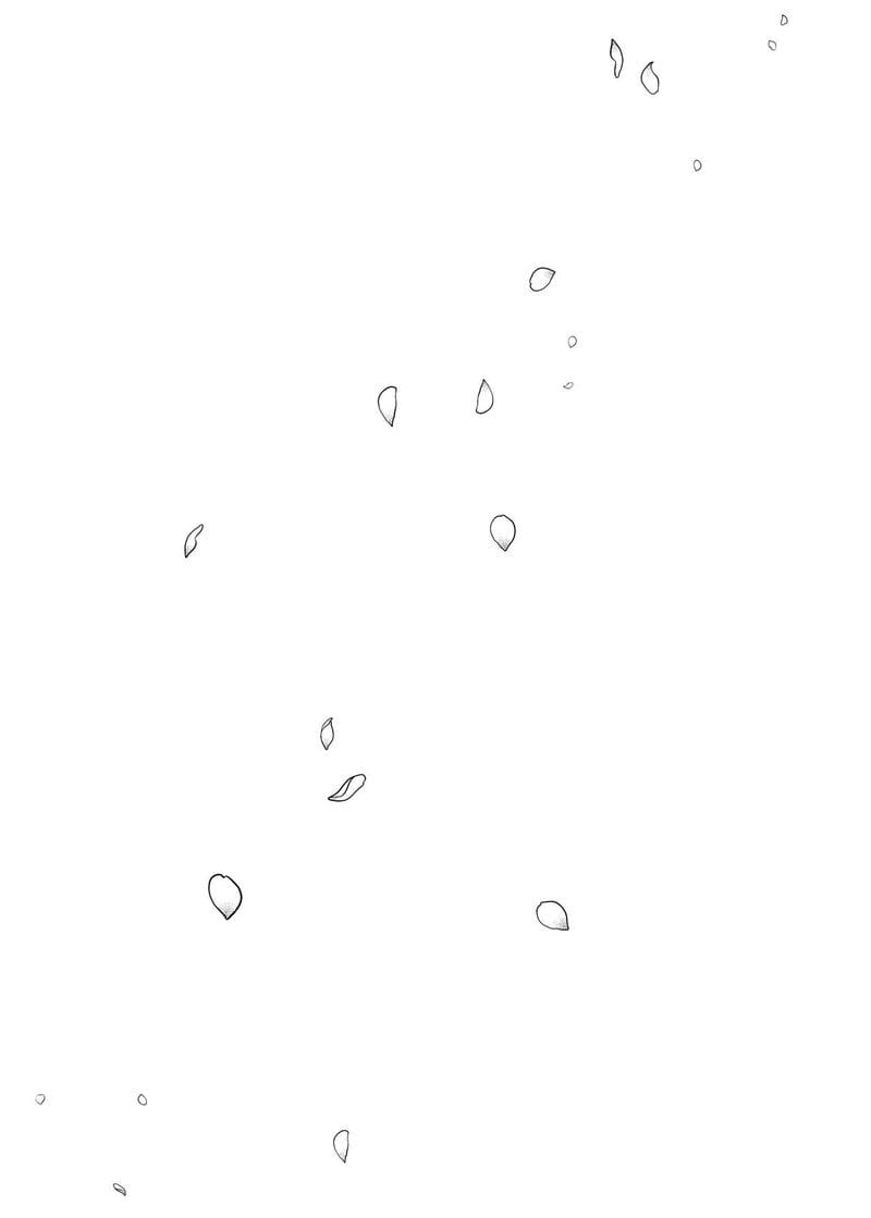 นัดเดทรวบ ควบสองสาว 5 จบ ภาพ 17