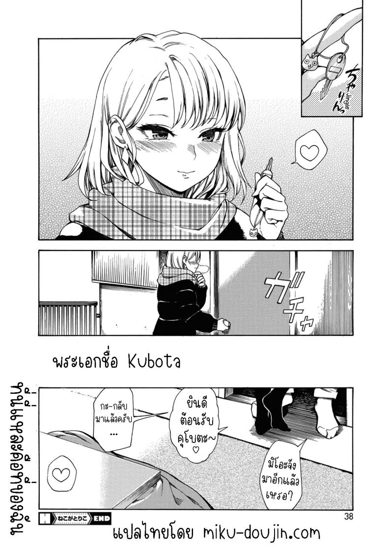 แมวหลง ภาพ 19