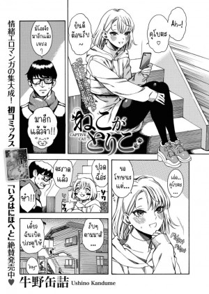 อ่านโดจิน แมวหลง แปลไทย