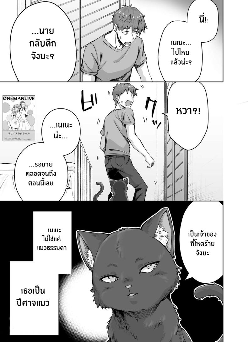 เเมวสัตว์เลี้ยงยันเดเระของผม ภาพ 3