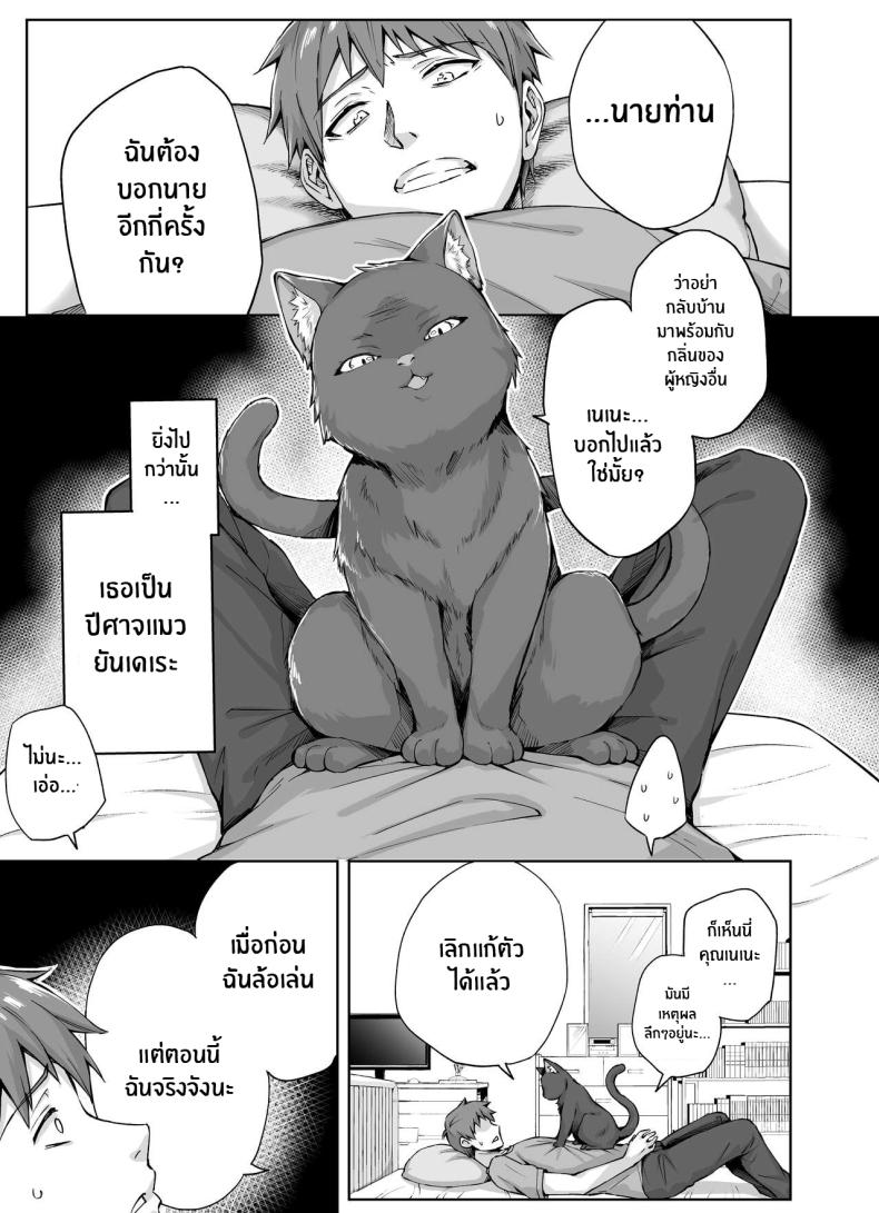 เเมวสัตว์เลี้ยงยันเดเระของผม ภาพ 5