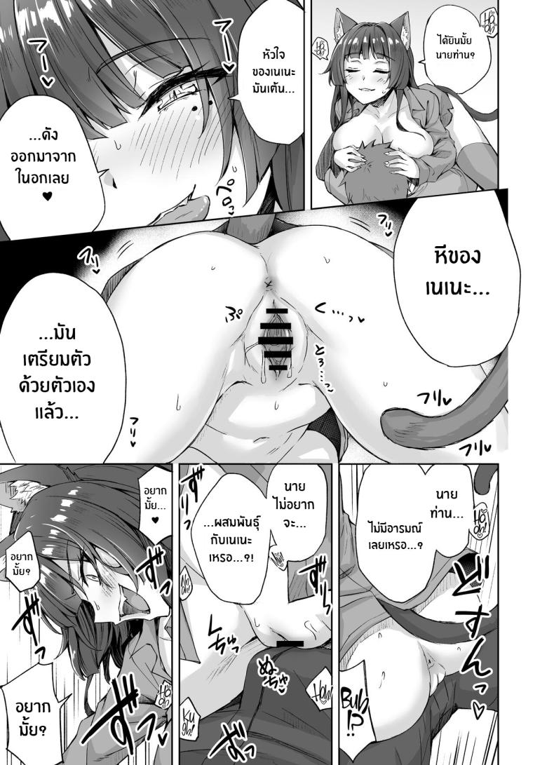 เเมวสัตว์เลี้ยงยันเดเระของผม ภาพ 7