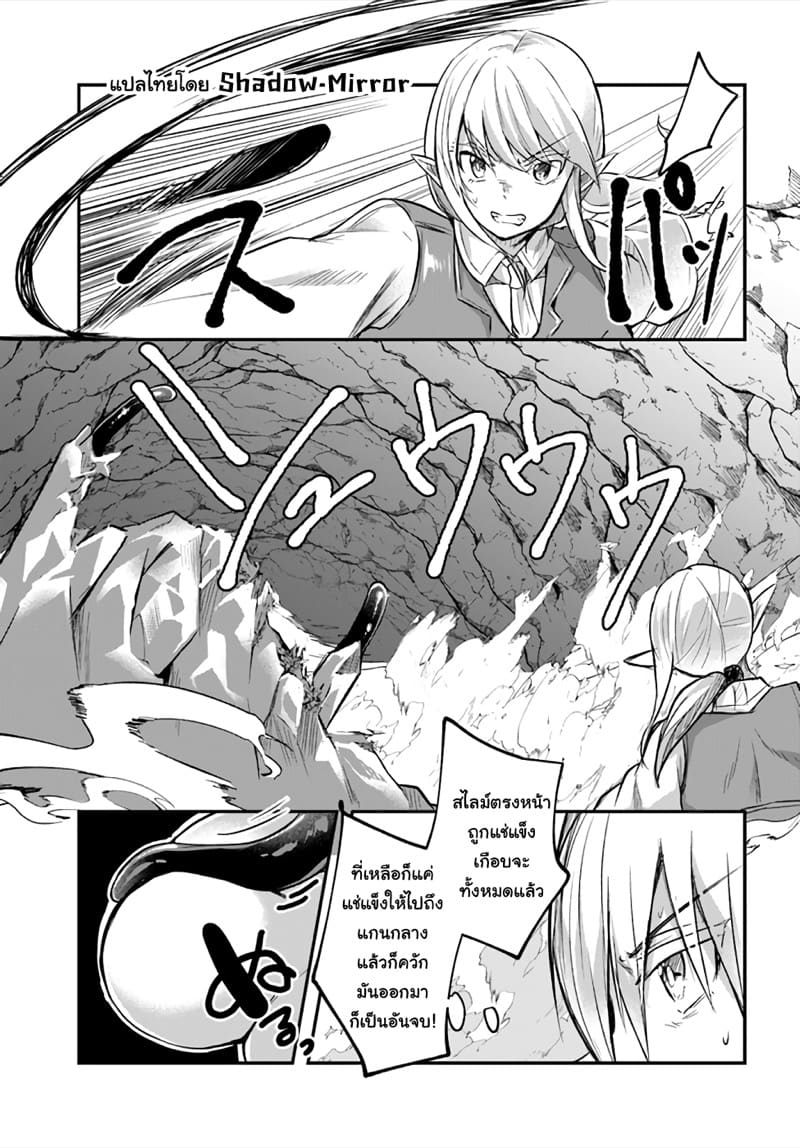 มอนสเตอร์ลับ จับเข้าถ้ำ 8 - ร่างแม่ร่างใหม่ ภาพ 3