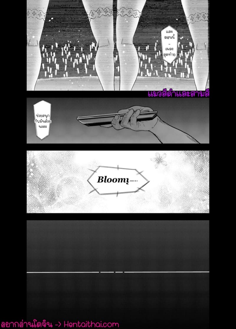 เบ่งบานในยามดึก 1 ภาพ 37