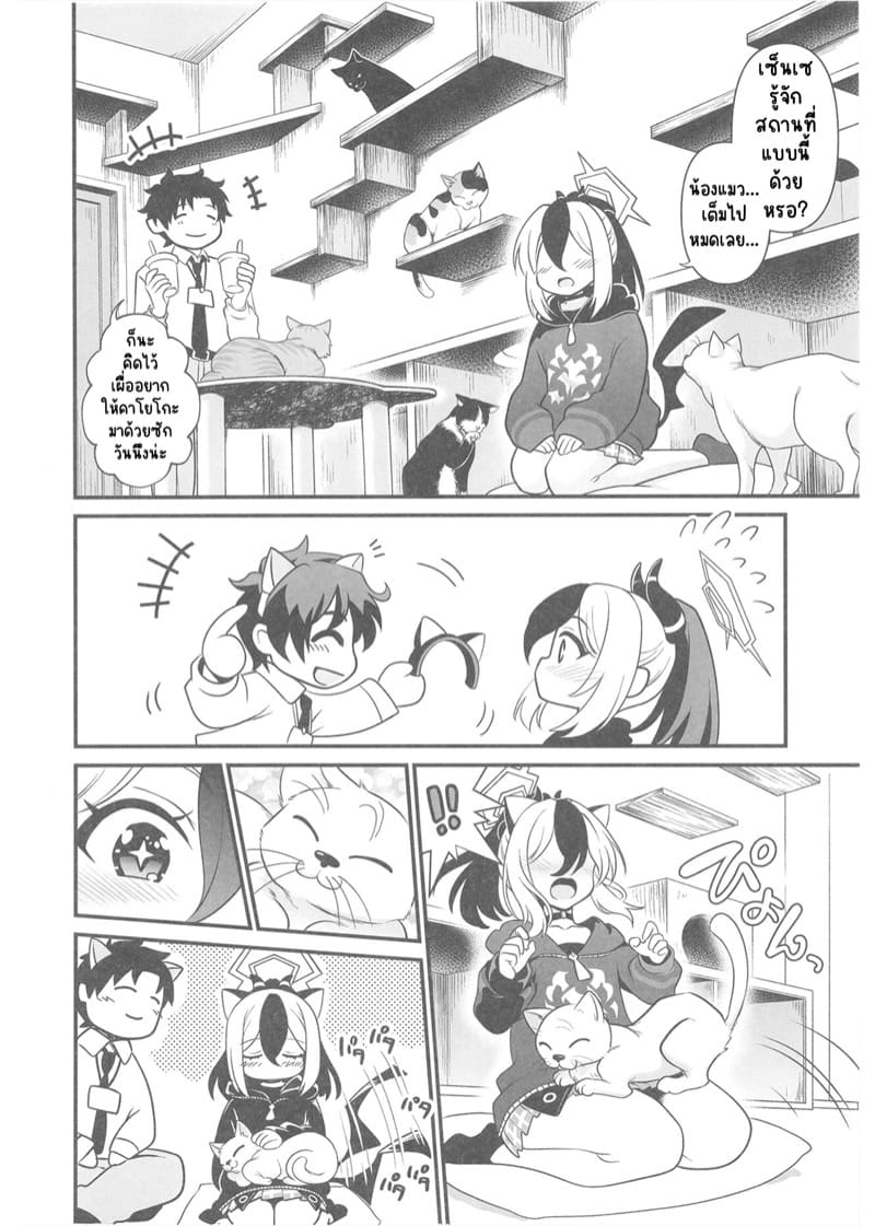 คาเฟ่แมวครั้งแรก กับคาโยโกะ ภาพ 7
