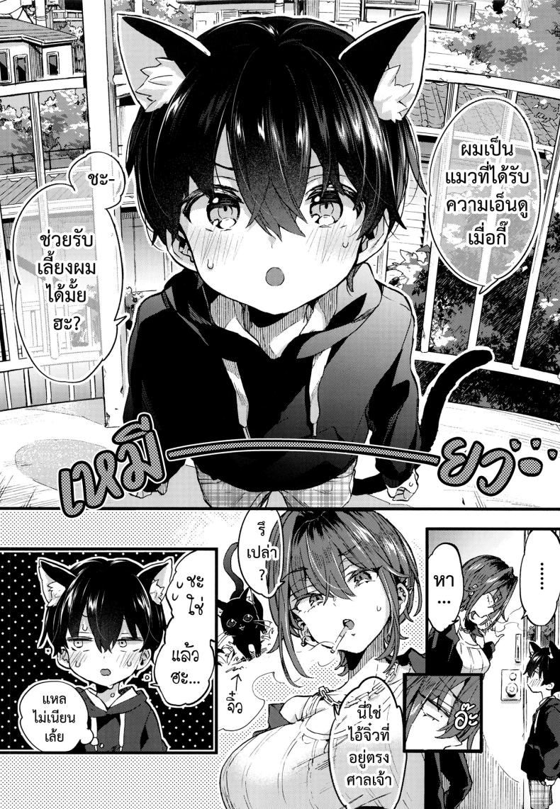 ขอเป็นแมวให้พี่เลี้ยง ภาพ 4