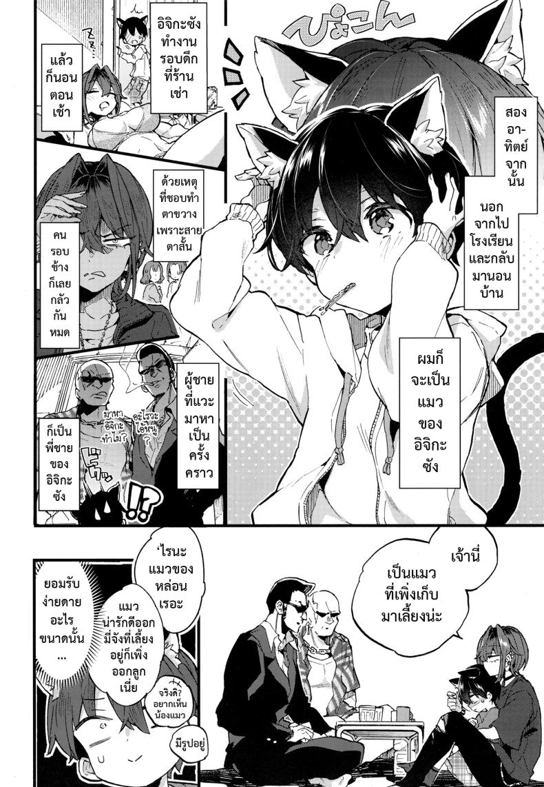ขอเป็นแมวให้พี่เลี้ยง ภาพ 14