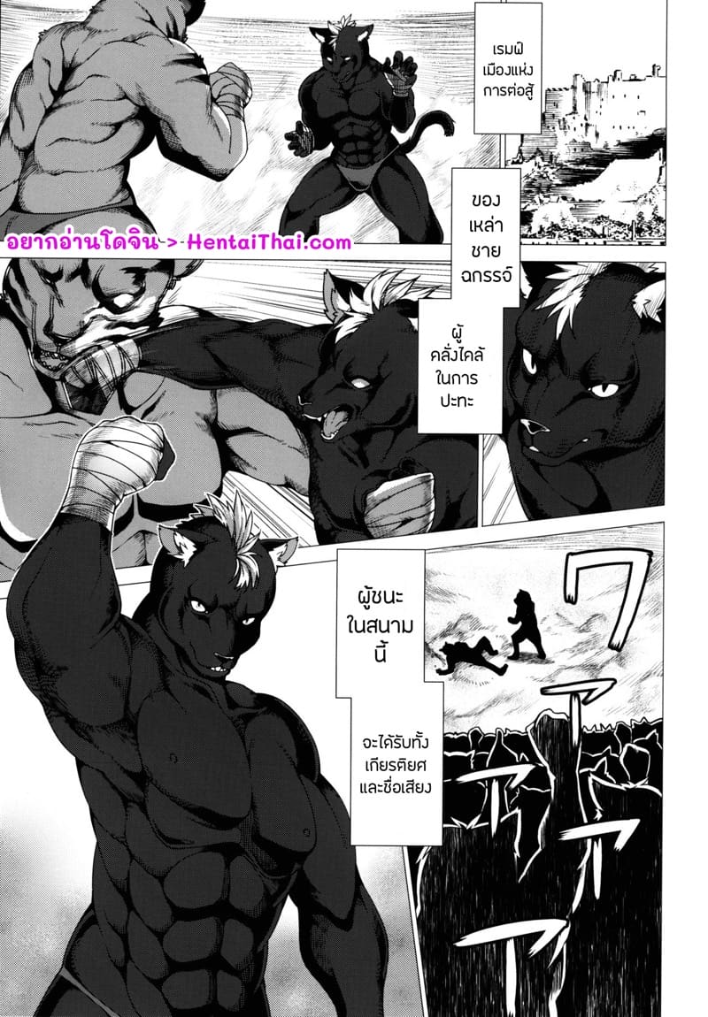 แมวเหมียวในกองขยะ ภาพ 1