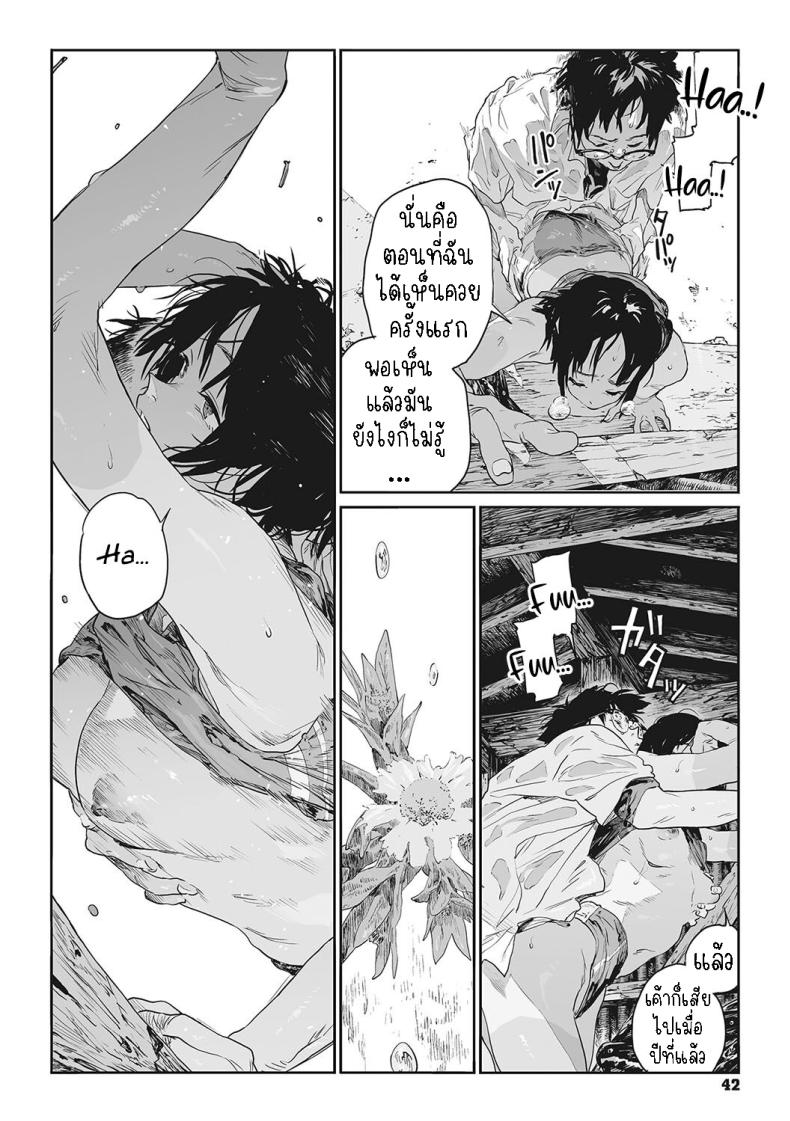 ทาก ภาพ 37