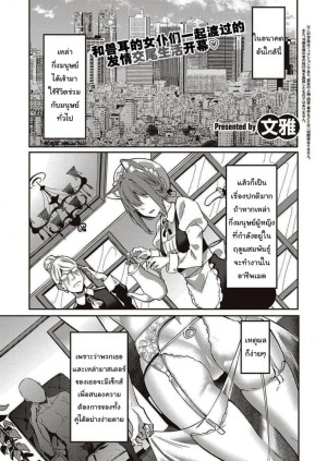 อ่านโดจิน เมดหูสัตว์ของผม แปลไทย