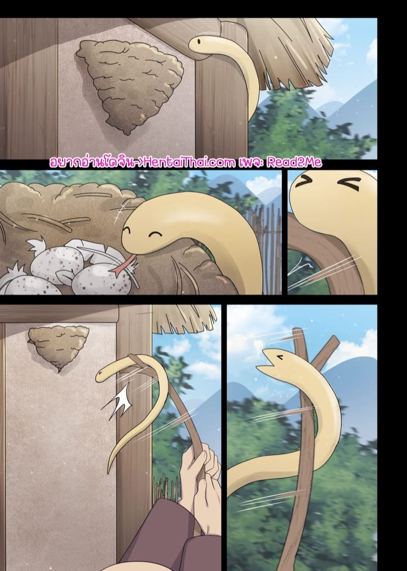 นกนางแอ่นแทนคุณ 1 ภาพ 1