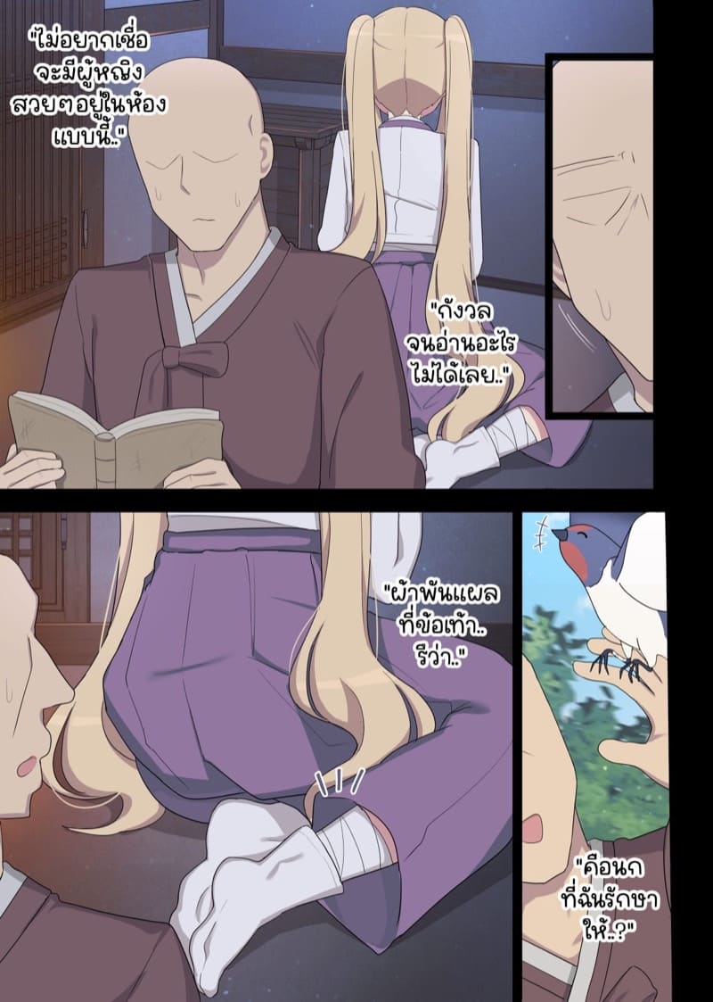 นกนางแอ่นแทนคุณ 1 ภาพ 5