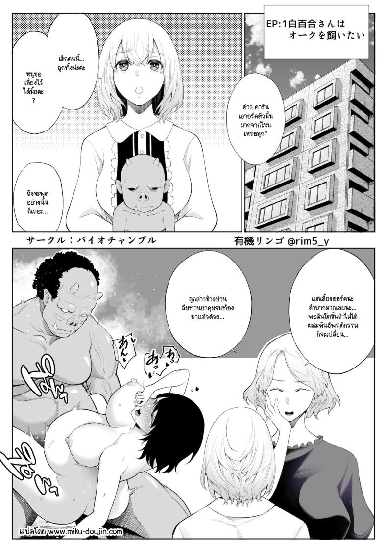 รับออร์คมาเป็นสัตว์เลี้ยง ภาพ 1