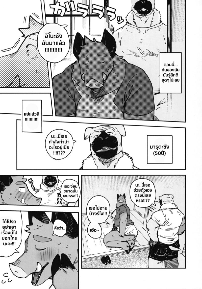 ความลับของคุณนายหมูป่า ภาพ 7