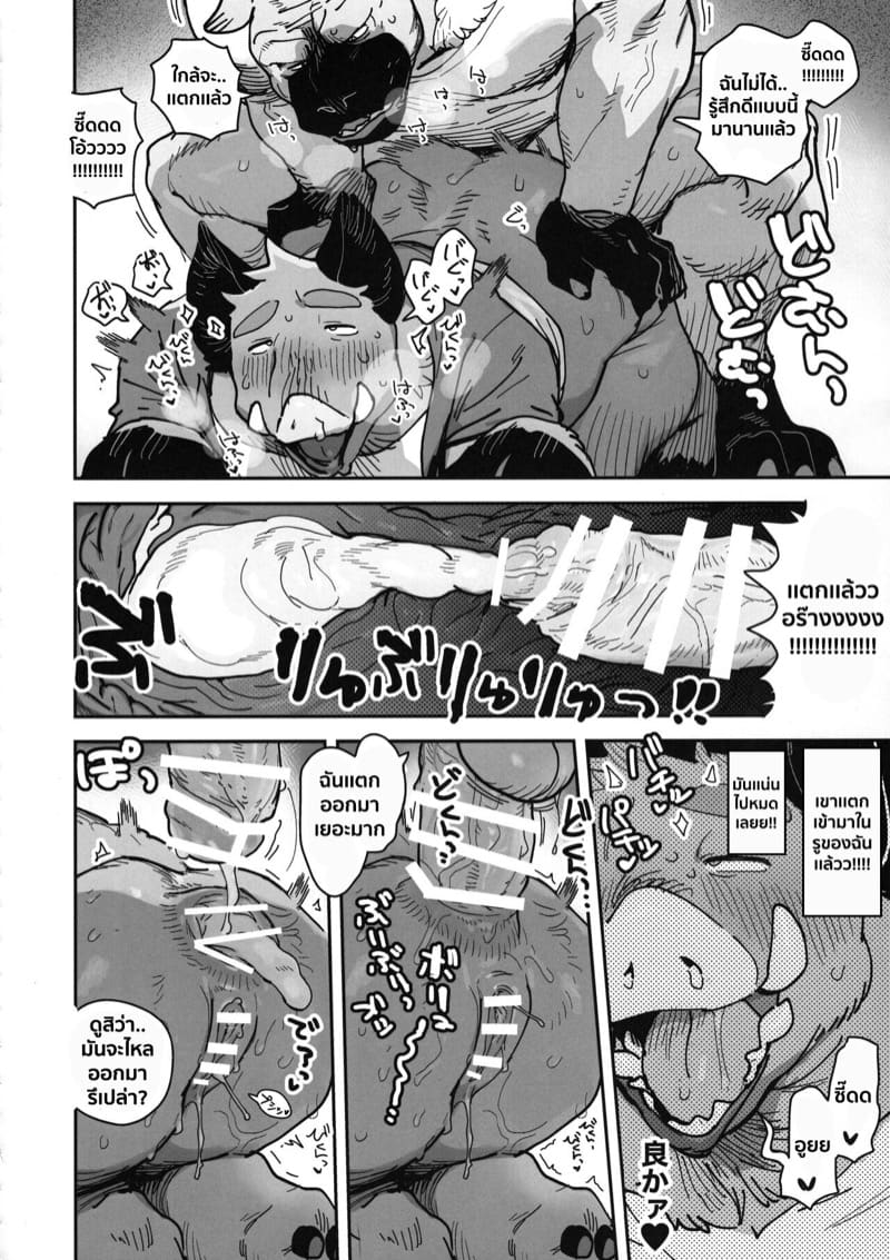 ความลับของคุณนายหมูป่า ภาพ 12