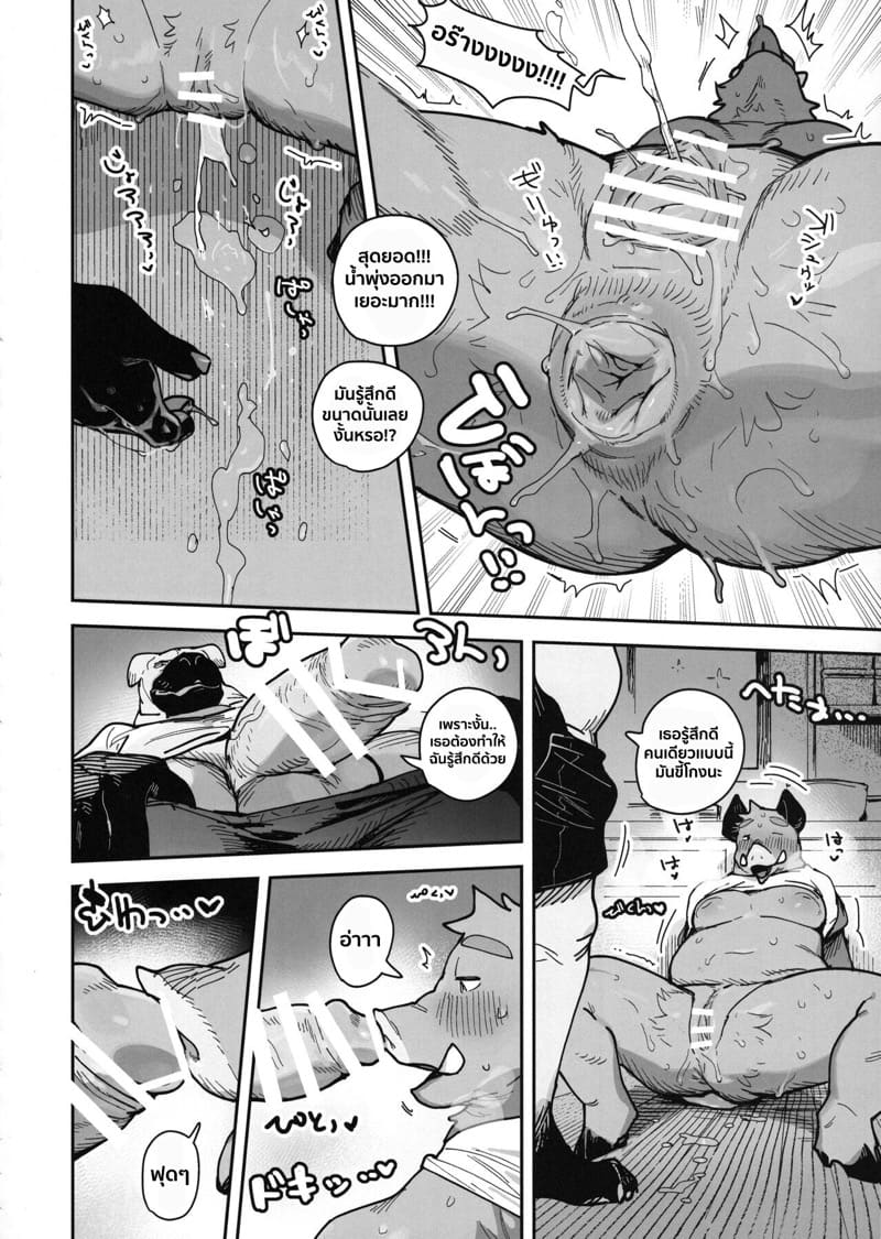 ความลับของคุณนายหมูป่า ภาพ 20