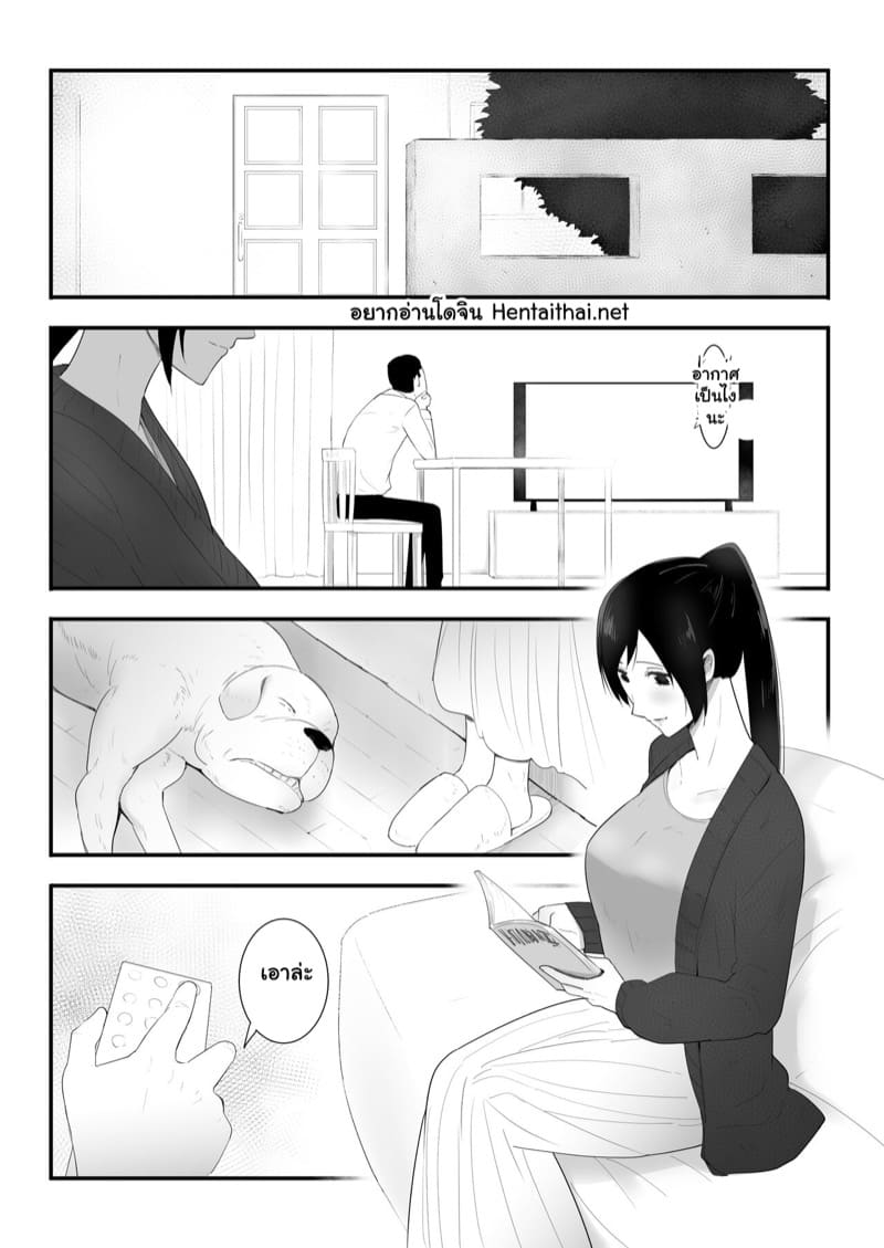 ตัวโปรดของฉัน 3.1 ภาพ 1