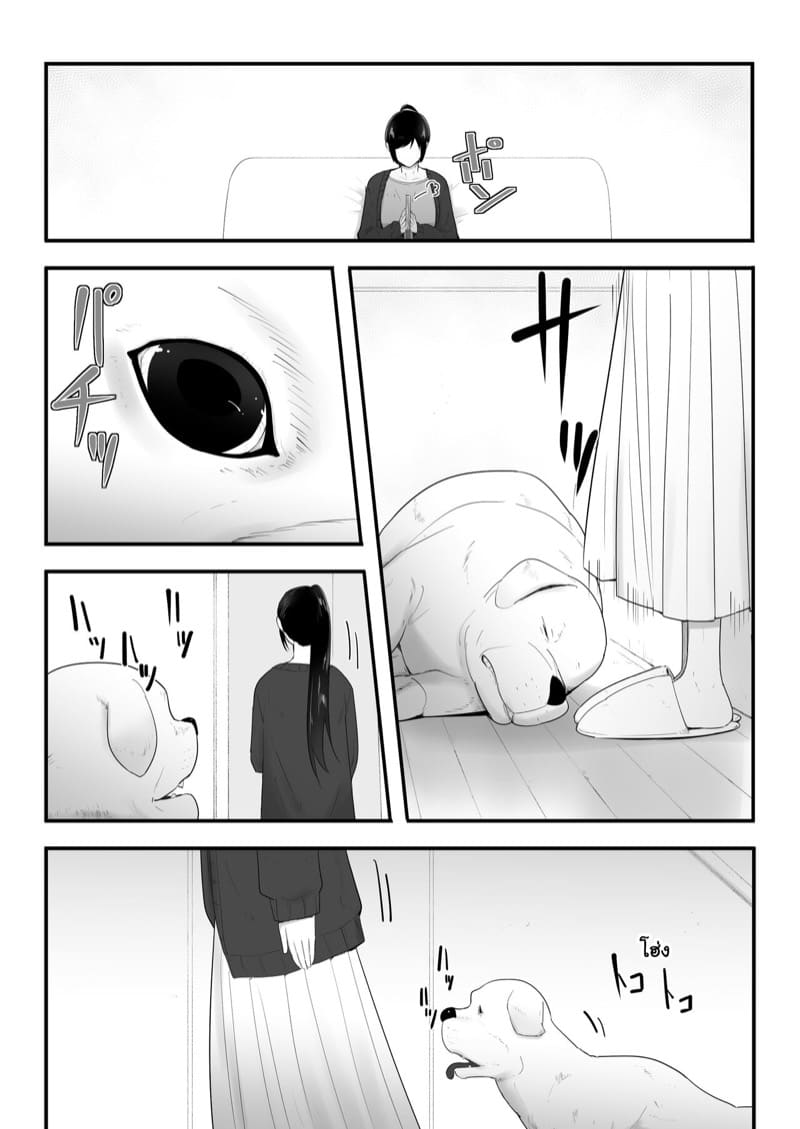 ตัวโปรดของฉัน 3.1 ภาพ 3
