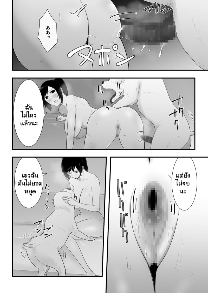 ตัวโปรดของฉัน 3.1 ภาพ 14