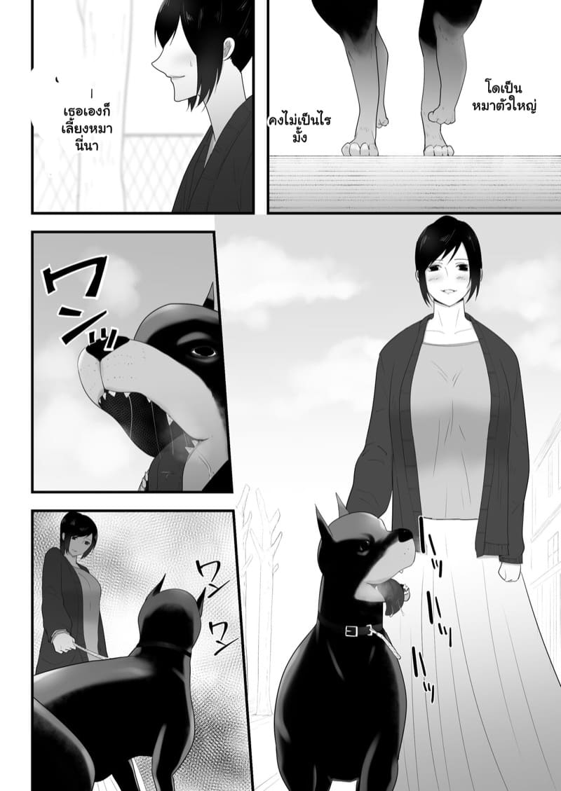 ตัวโปรดของฉัน 3.2 ภาพ 5