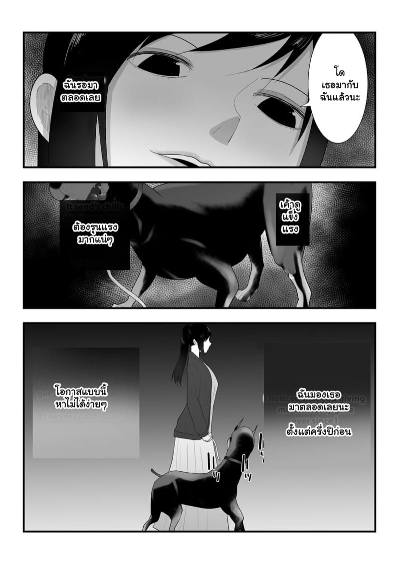 ตัวโปรดของฉัน 3.2 ภาพ 6