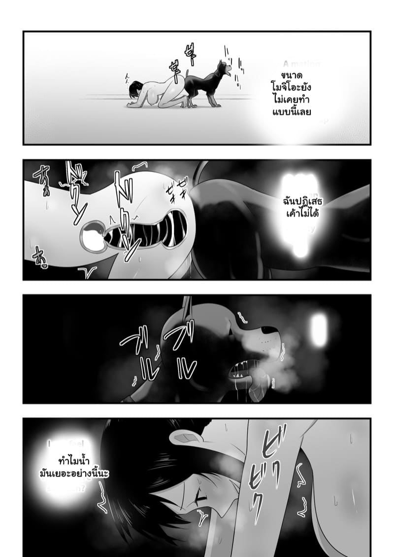 ตัวโปรดของฉัน 3.2 ภาพ 27
