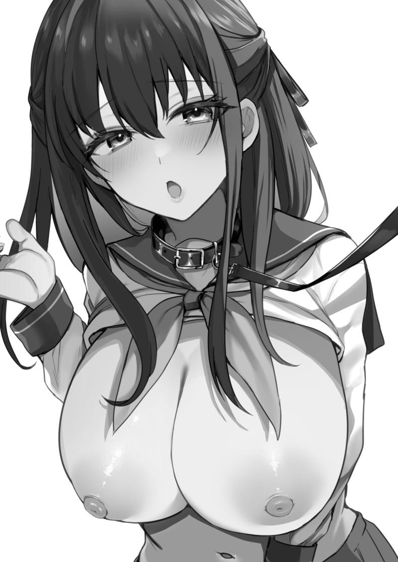 หน้าที่ที่สำคัญ ภาพ 67