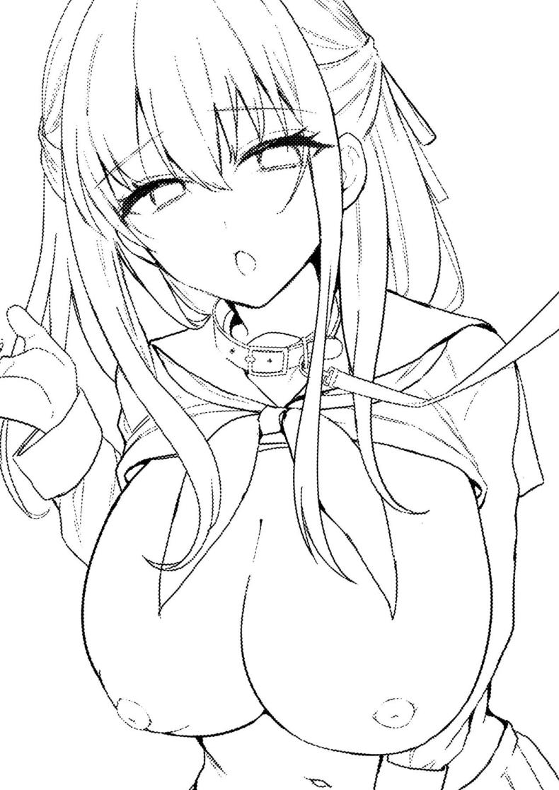 หน้าที่ที่สำคัญ ภาพ 68