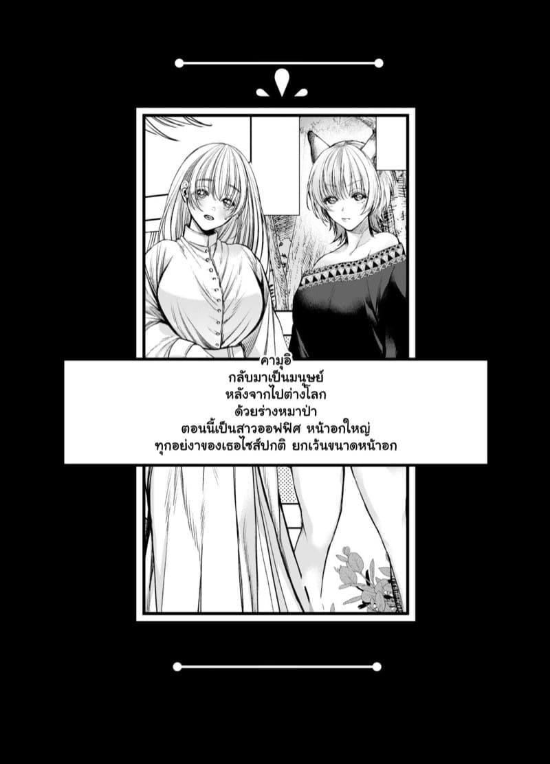 หนูน้อยหมวกแดง 2.1 ภาพ 3