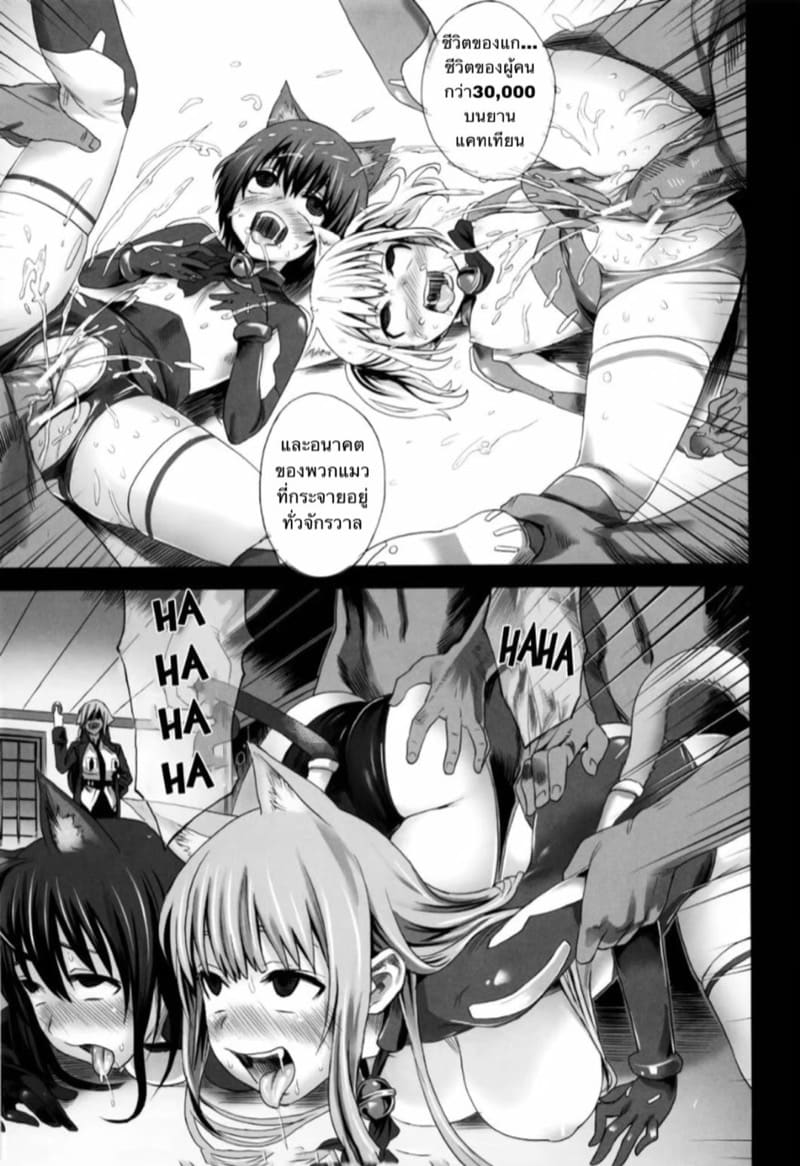 ฝึกหมาให้ฟัง ฝึกแมวให้เชื่อง ภาพ 21