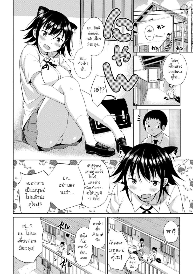 คนนะไม่ใช่แมว ภาพ 1