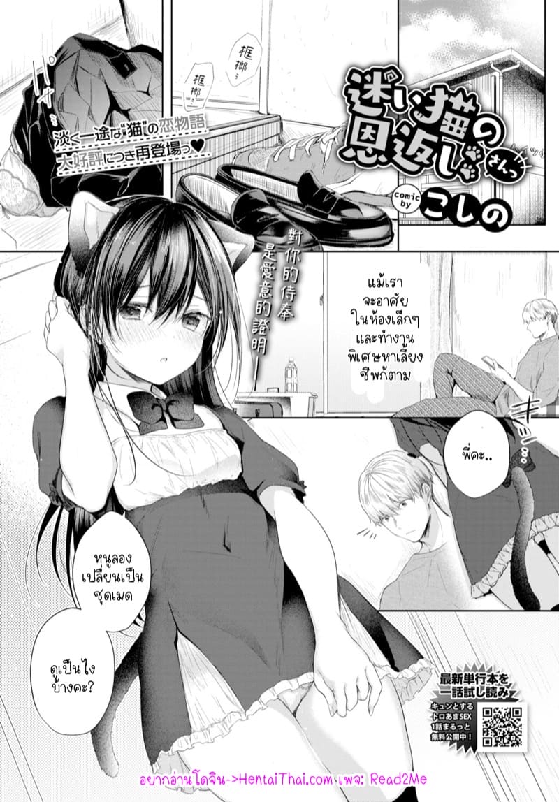 น้องแมวหลงทาง 3