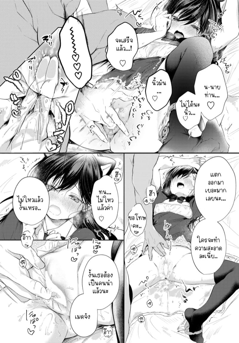 น้องแมวหลงทาง 3 ภาพ 7