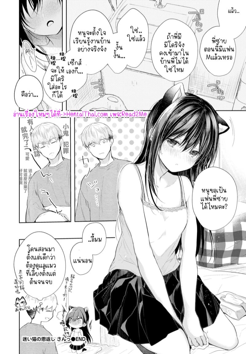 น้องแมวหลงทาง 3 ภาพ 19