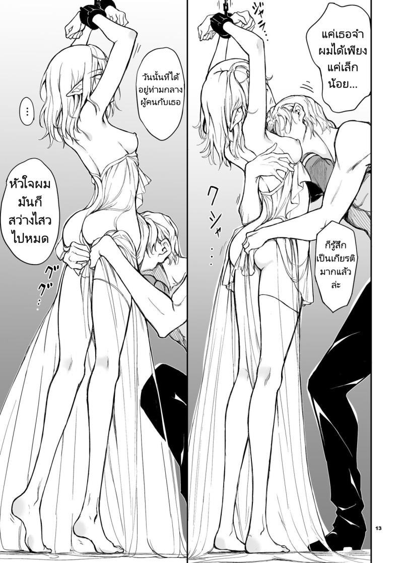 การวิจัยเอลฟ์จากอาณาจักรที่ล่มสลาย ภาพ 12