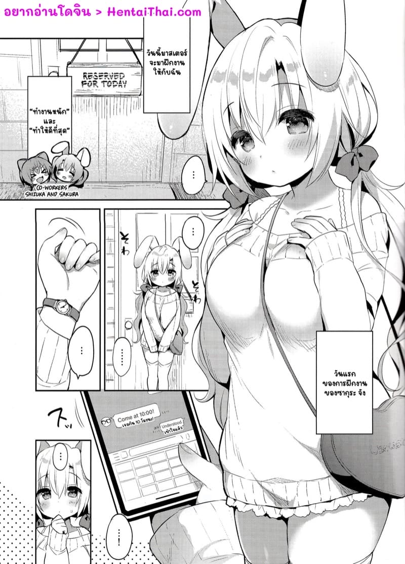 กระต่ายสีขาว ภาพ 2