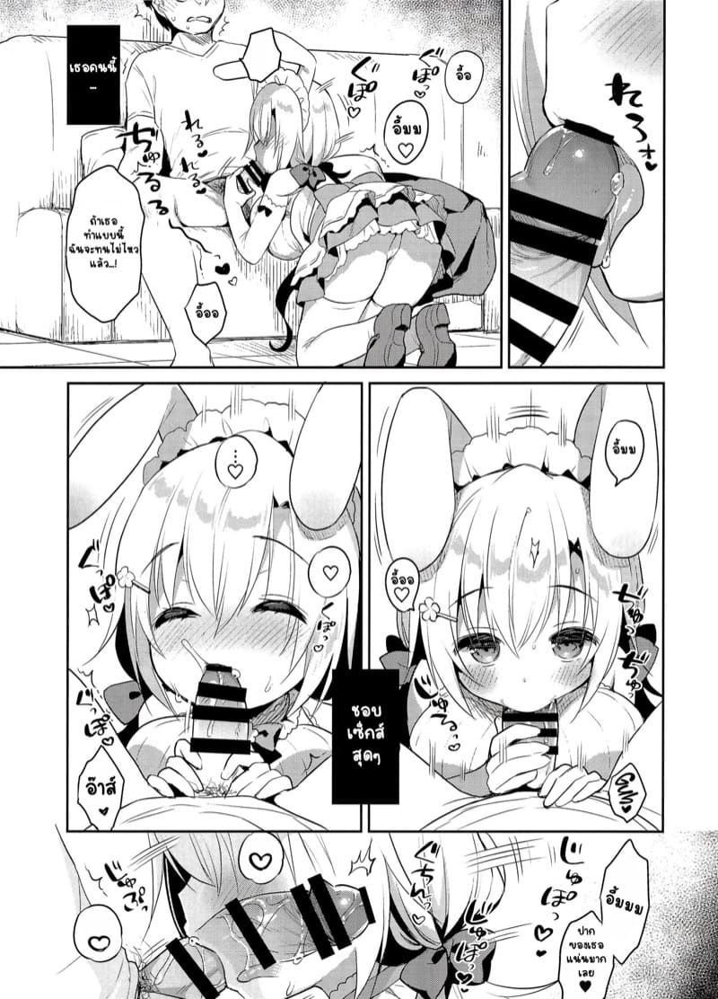 กระต่ายสีขาว ภาพ 8