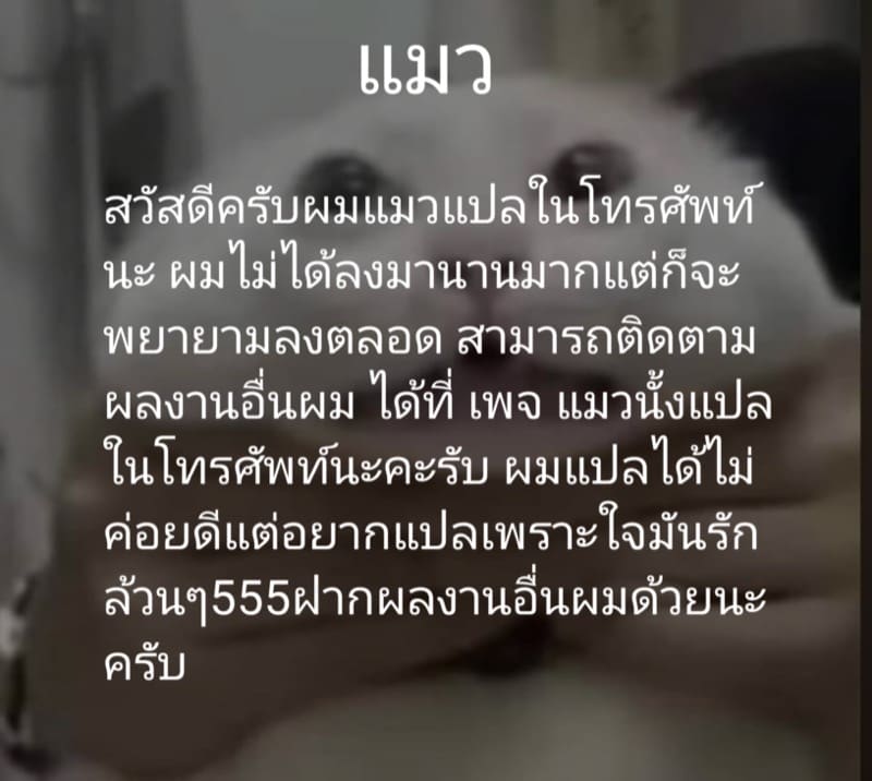 ใครเล็กกว่าก็รับไป ภาพ 19