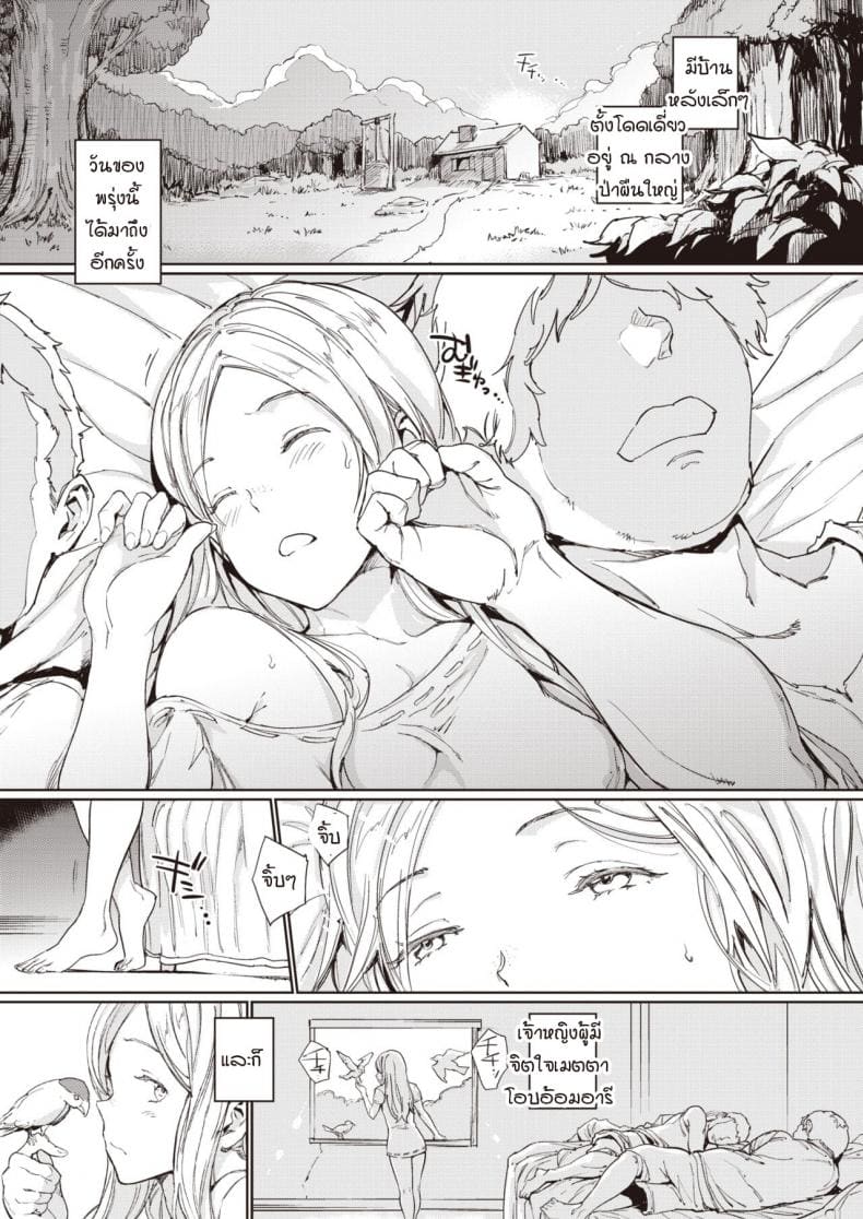 บ้านหลังเล็ก ณ ป่าใหญ่ ภาพ 4