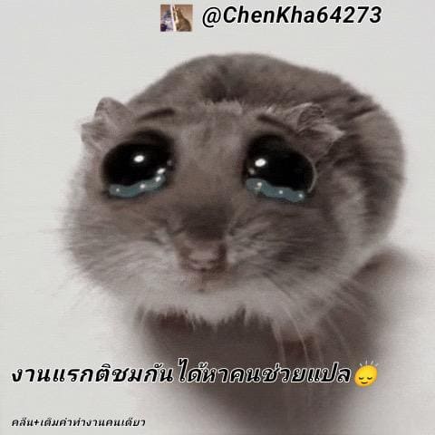 ผู้กล้า ไร้เสียง ภาพ 23