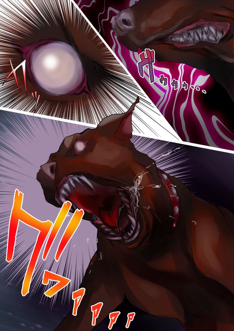 นามิกับหมา ภาพ 4