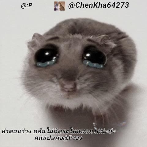 พลังจิตปะทะพลังกาย ภาพ 11