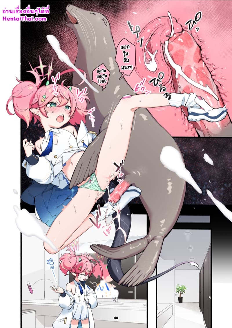 เหตุเกิดจาก อยากดูแมวน้ำ ภาพ 2