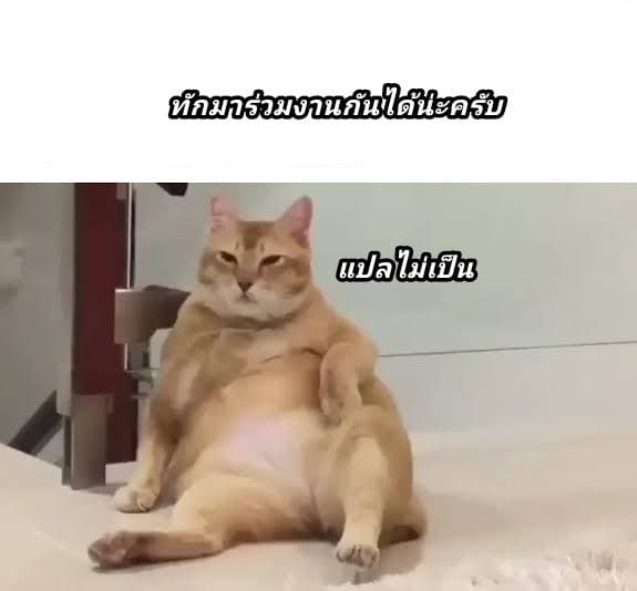 เกือบหลับแต่กลับมาได้ ภาพ 25