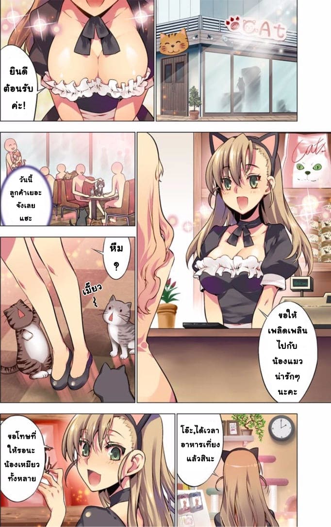 เหตุการณ์สุดสยิว 4 - แมวตัวแสบ ภาพ 1