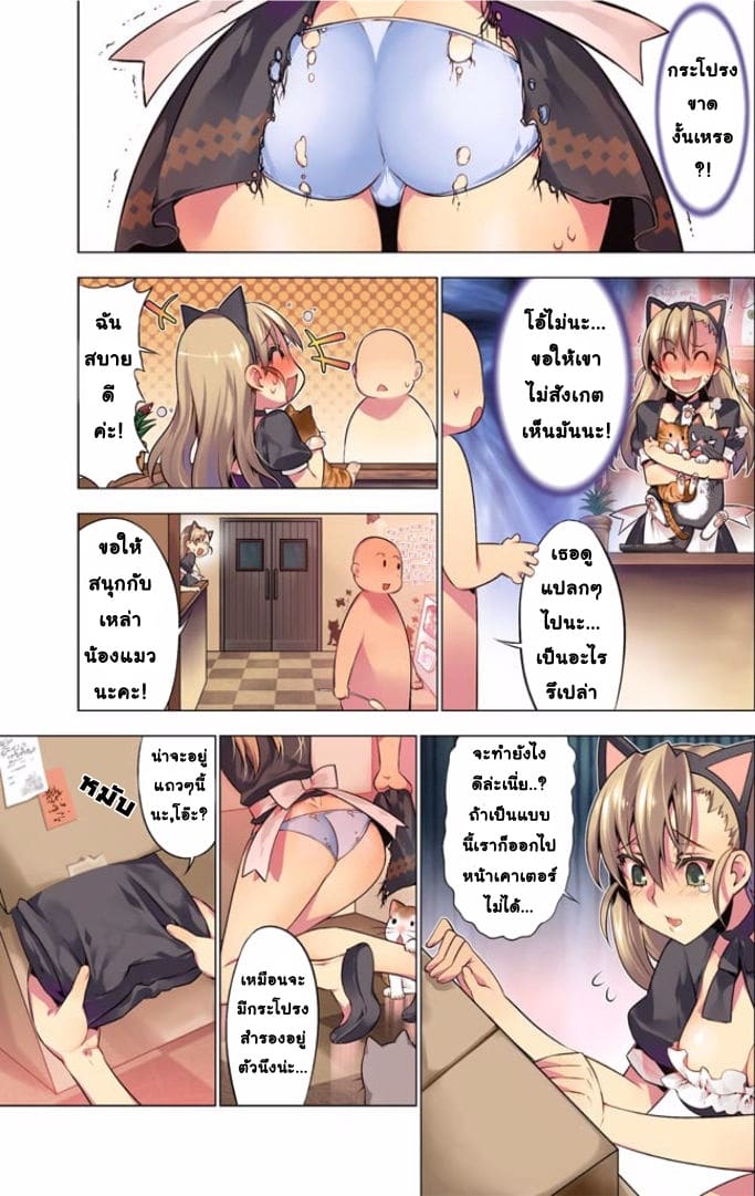 เหตุการณ์สุดสยิว 4 - แมวตัวแสบ ภาพ 4