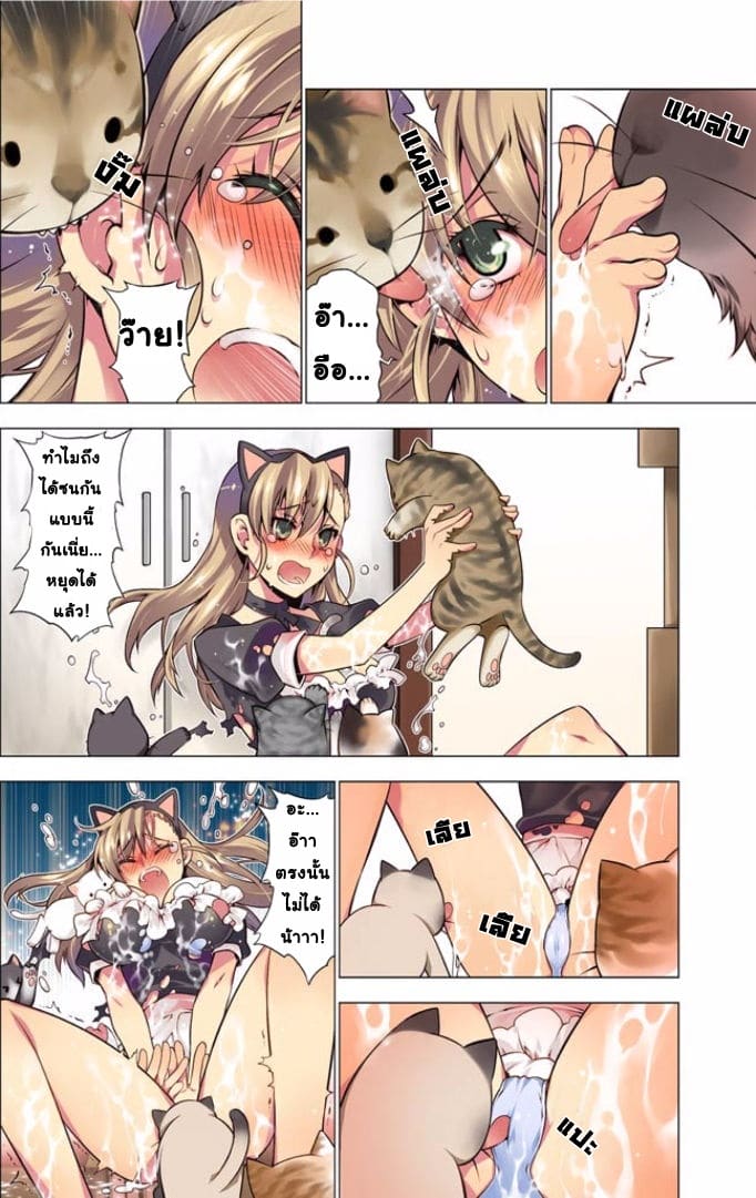 เหตุการณ์สุดสยิว 4 - แมวตัวแสบ ภาพ 7