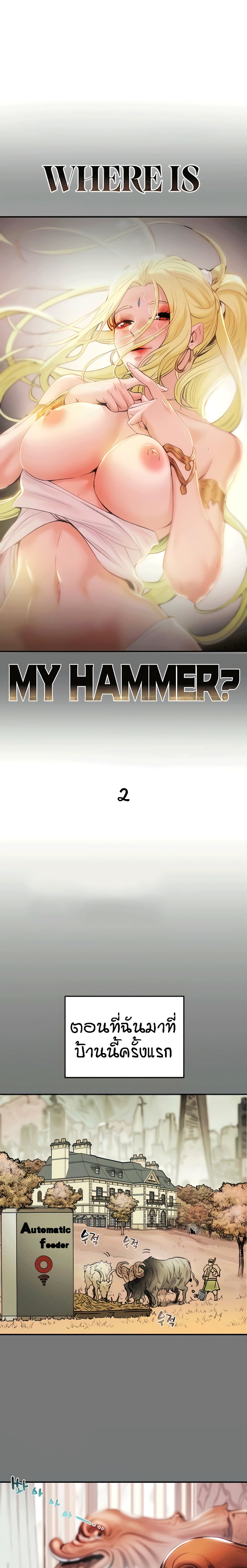 Where Did My Hammer Go ตอนที่ 2 ภาพ 0