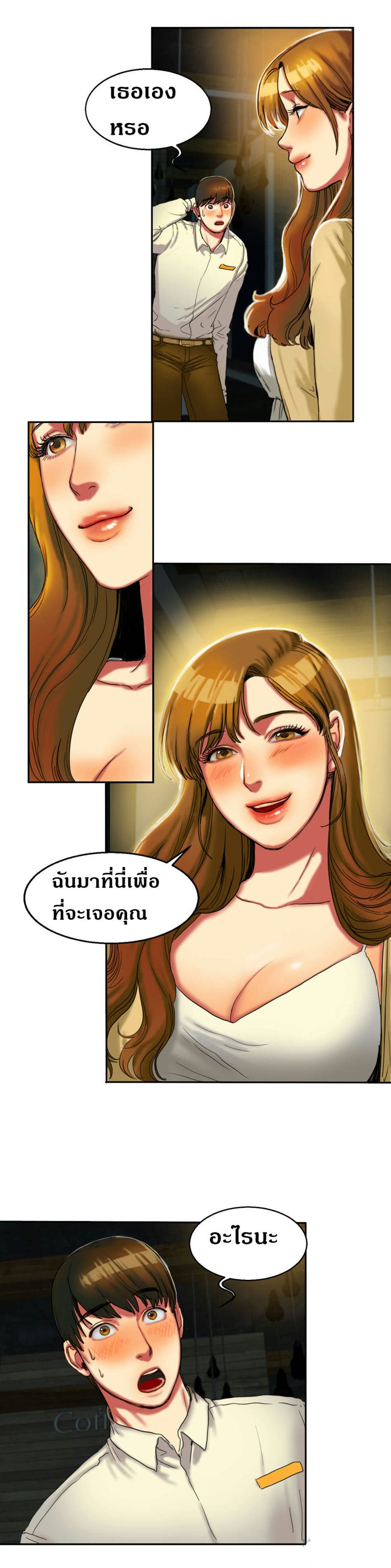 การ์ตูนโป๊.com